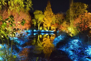 光のフェスタ in モネの庭
